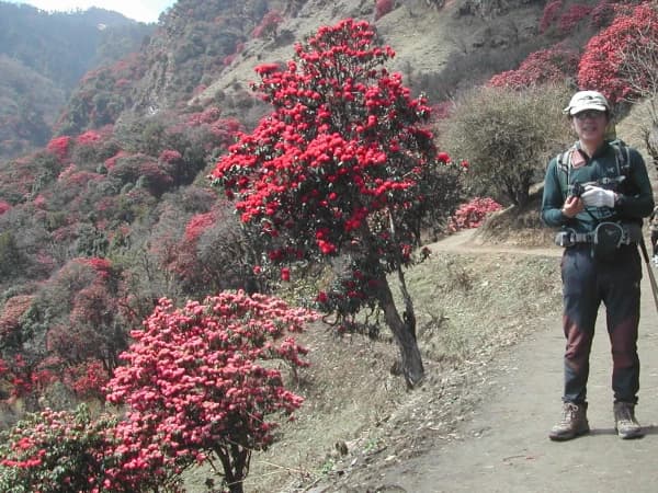 Annapurna Base Camp Solo Trekking