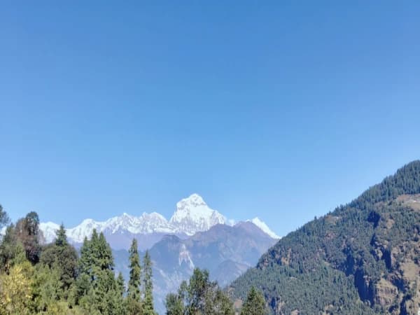 3 Best Alternatives to Poon Hill Viewpoint Trek
