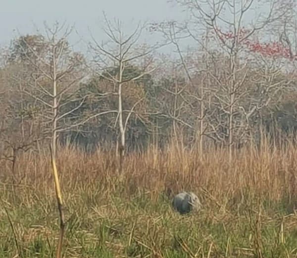 Nature and Adventure Tours