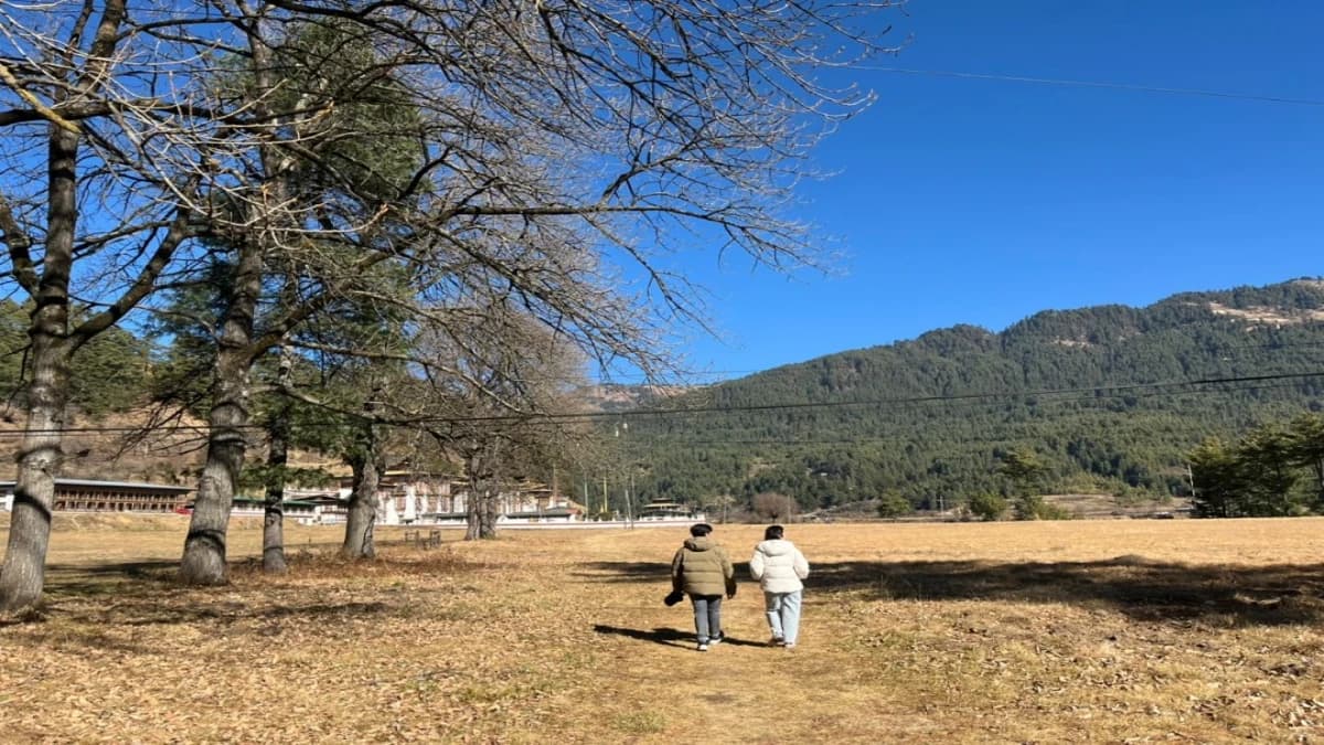 Druk Path Trek