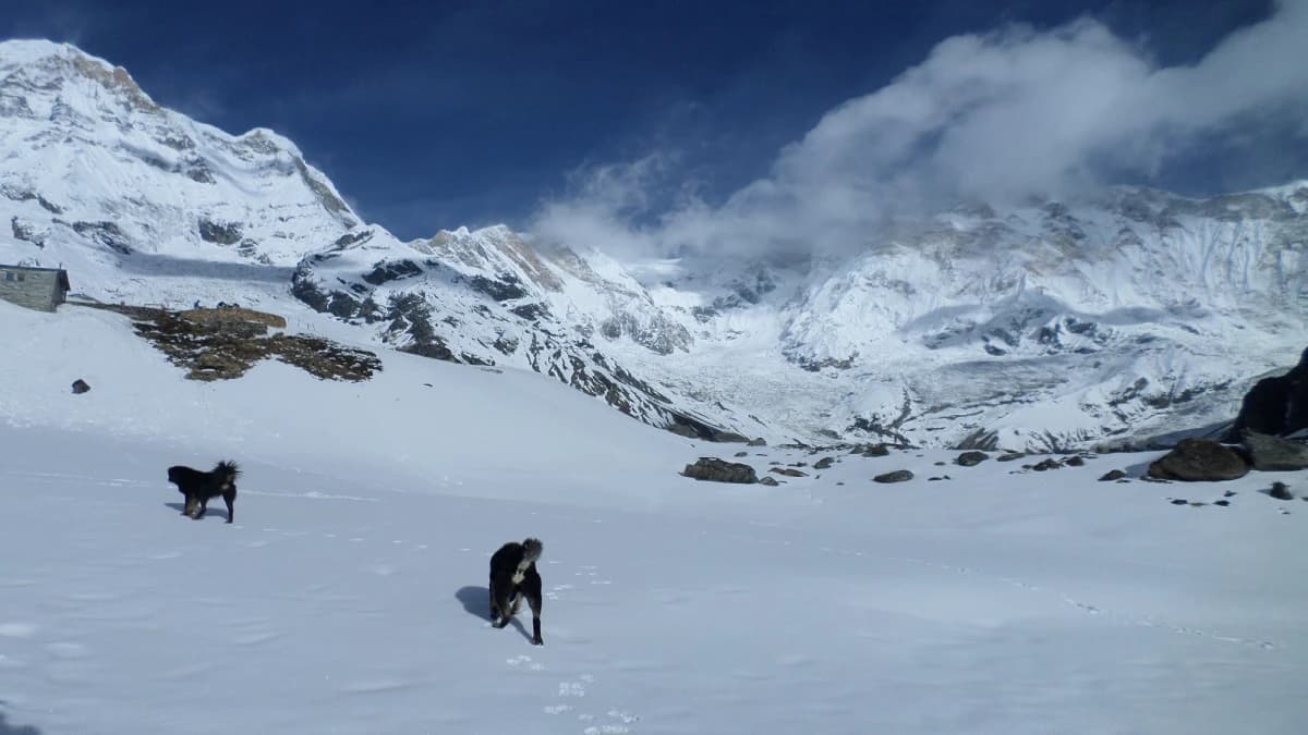 Annapurna Base Camp Trekking Route