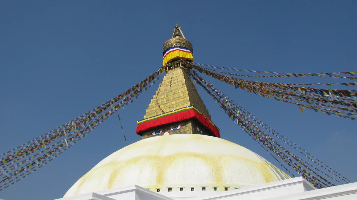 Buddhist Circuit Tour