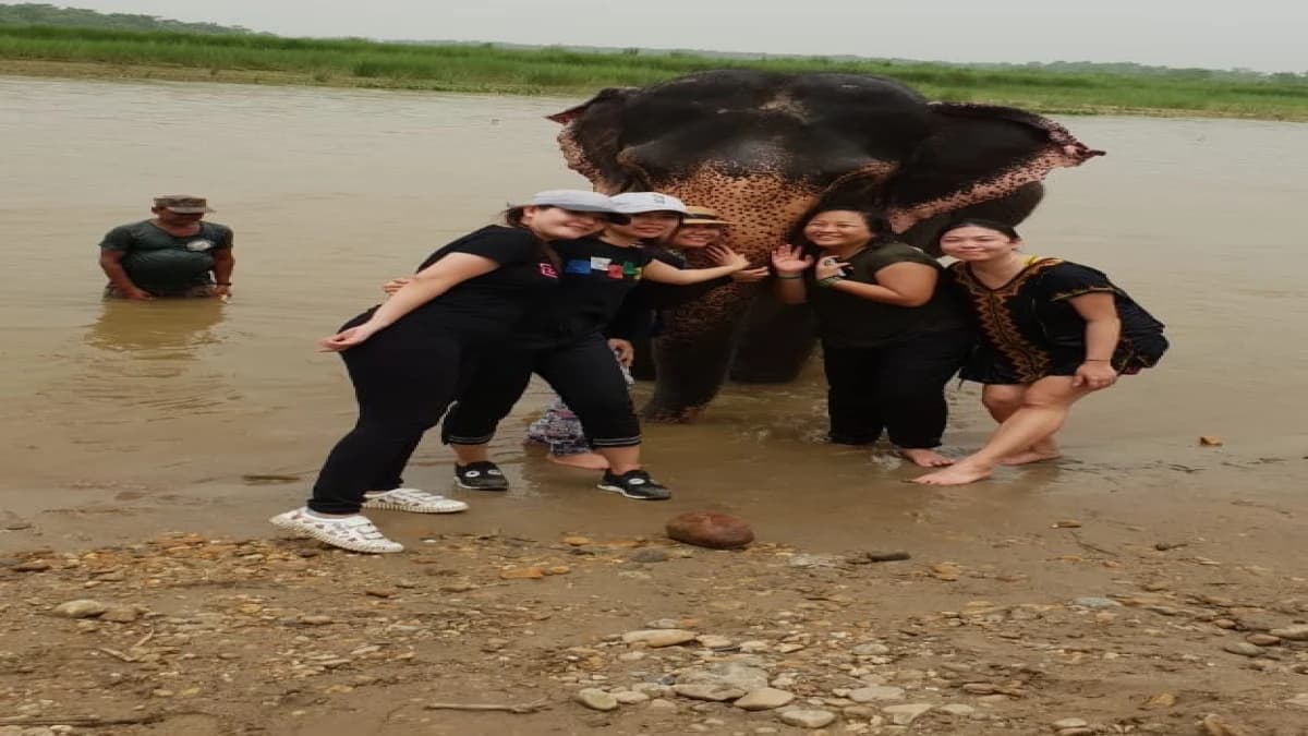 Kathmandu Chitwan Tour