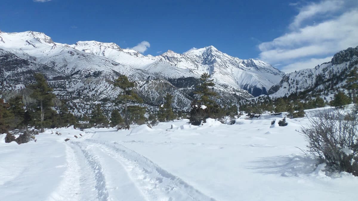 The Annapurna Circuit Trek