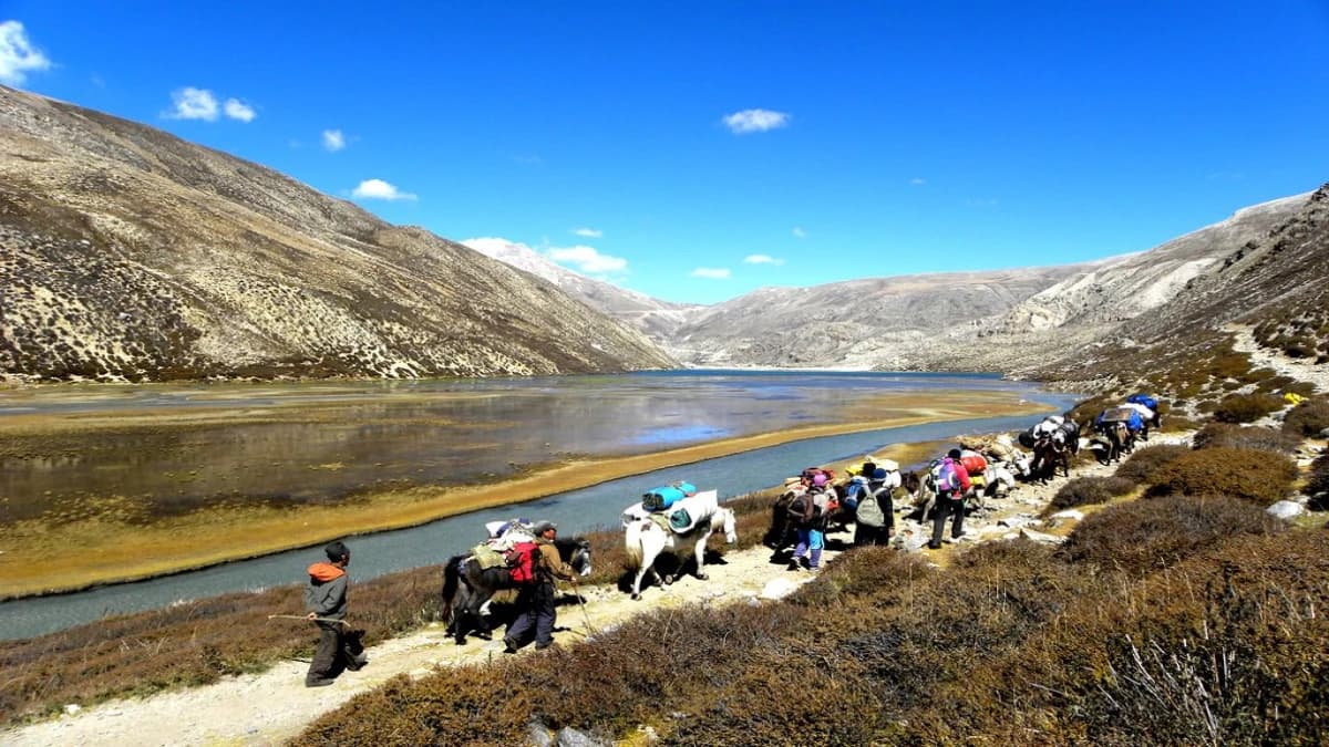 Humla Limi Valley
