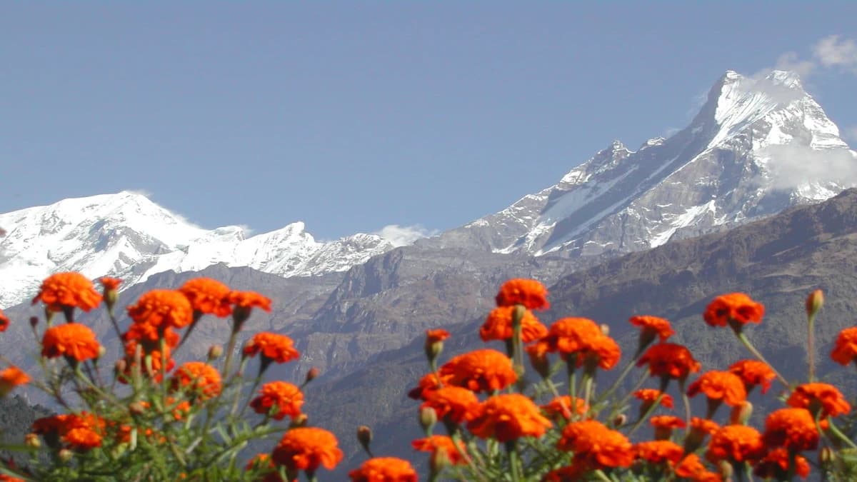 Mardi Himal Trek