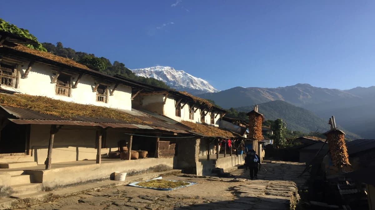 Mohare Danda Trek