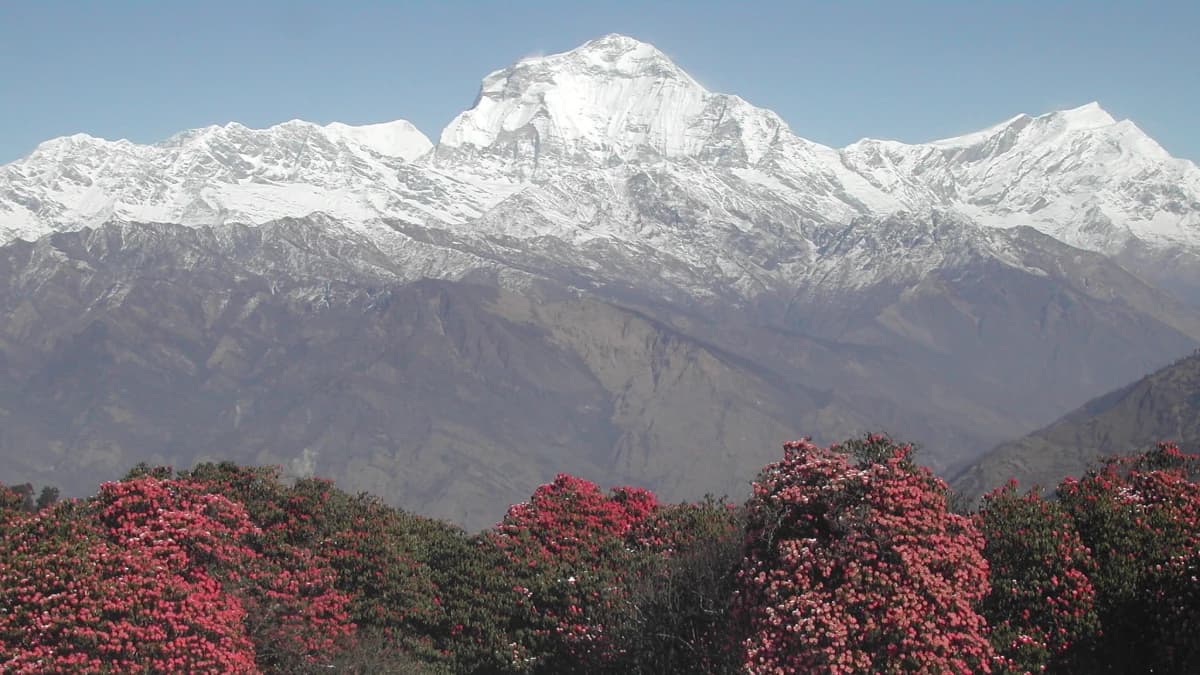 Mohare Danda Trek