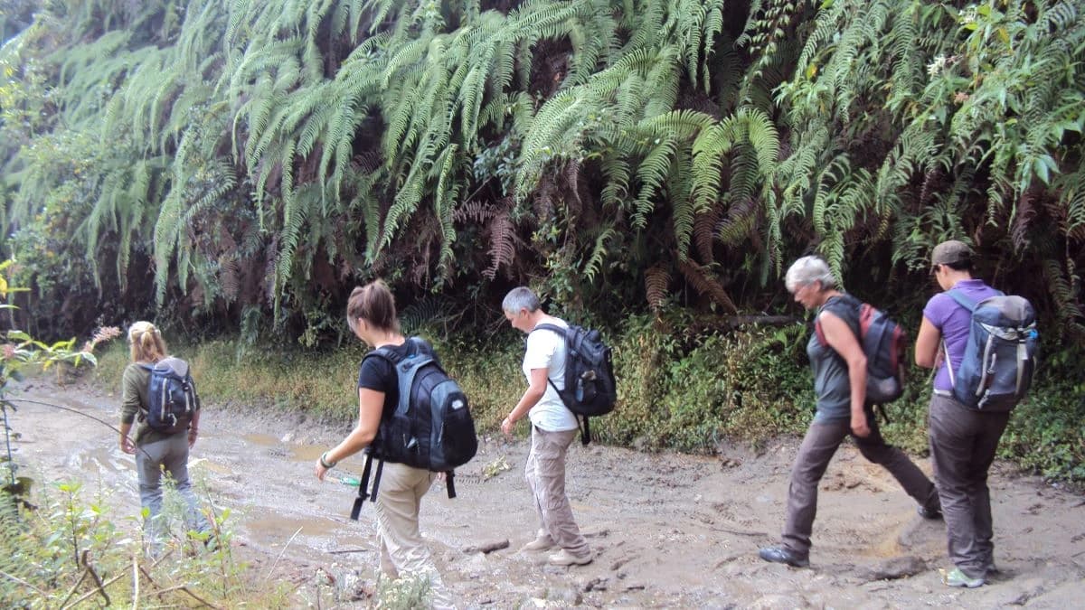 Chisapani Nagarkot Trekking