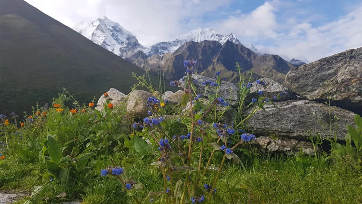 Short and Easy Everest View Tour in Nepal