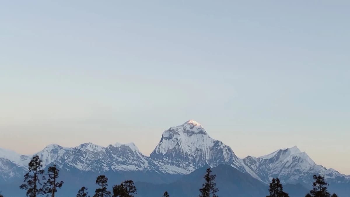 Sunset view of snow-covered Dhaulagiri seen during family trek to Mohare Danda