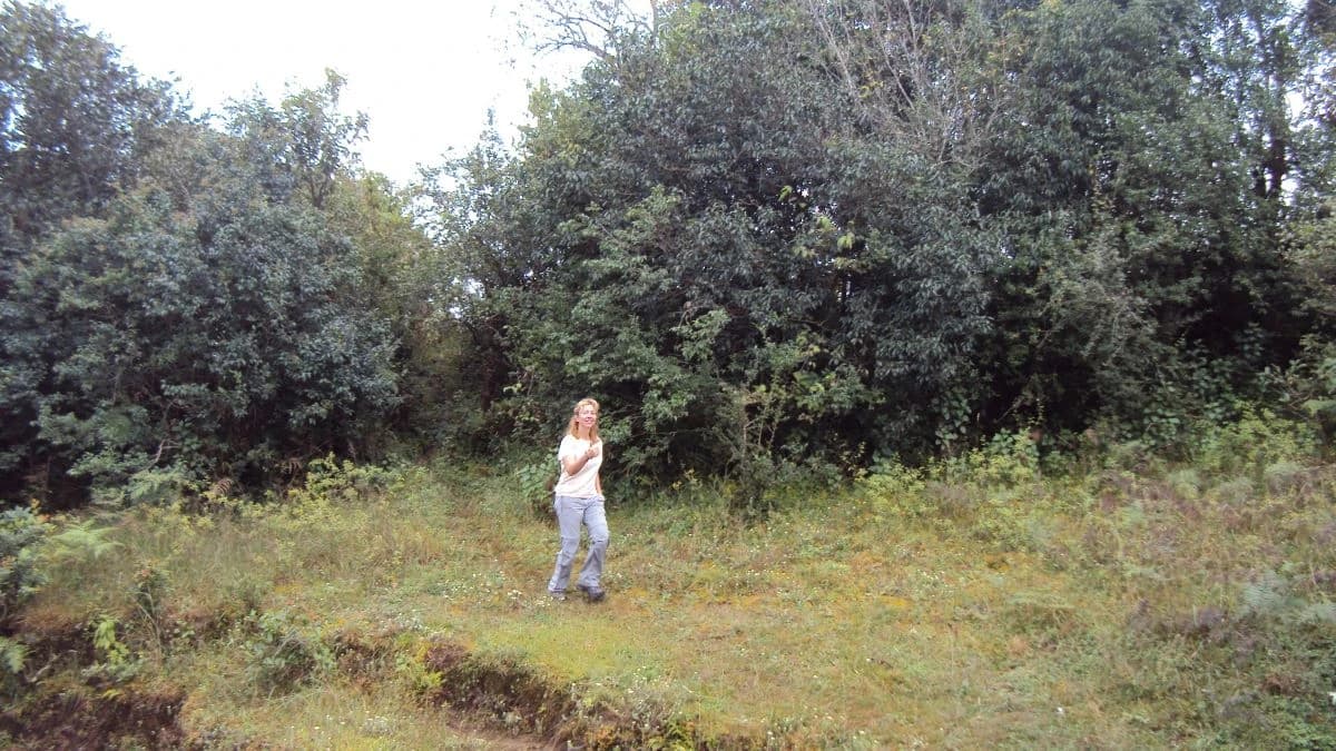 Chisapani Nagarkot Trekking