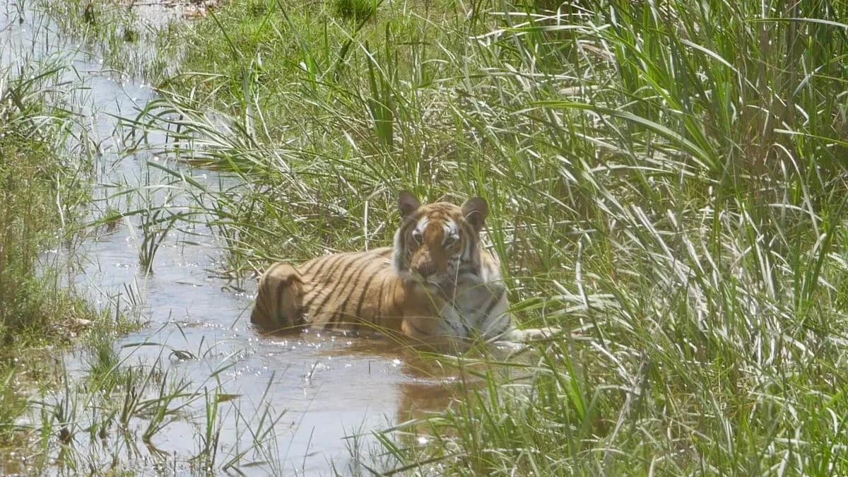 Nepal Holiday Package - 07 Night 08 Days