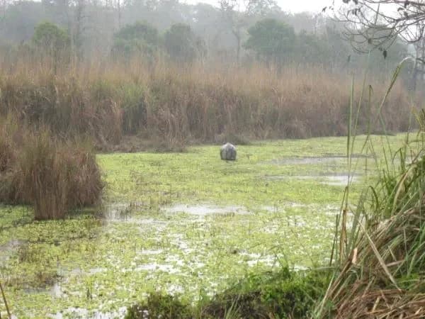 Kathmandu Pokhara Lumbini Chitwan Tour