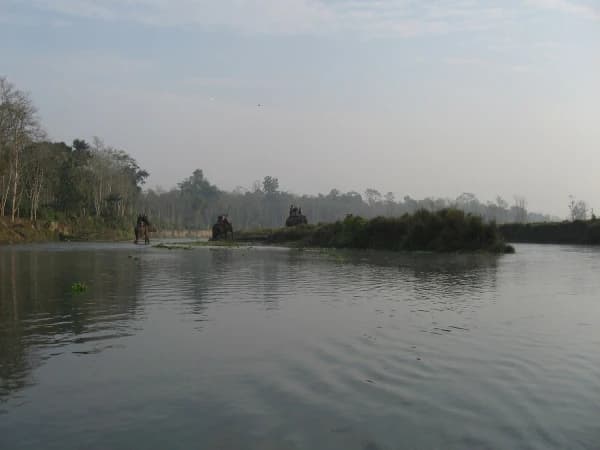 Chitwan Jungle Safari Tour 2 Night 3 Days Package