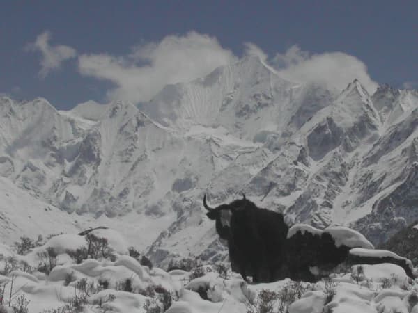 Langtang Gosaikunda Chisapani 15 Days Trek
