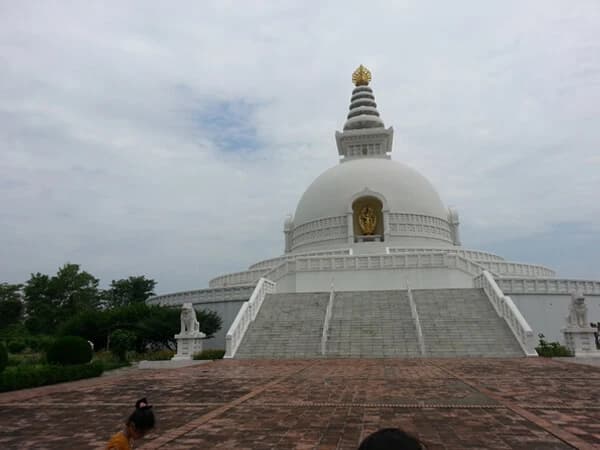 Buddhist Circuit Tour