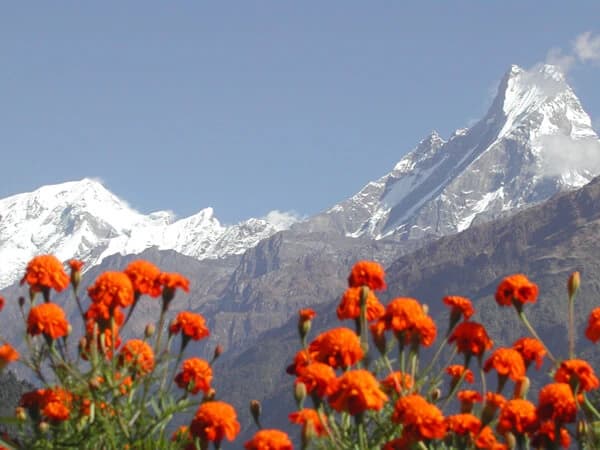 Mardi Himal Trek