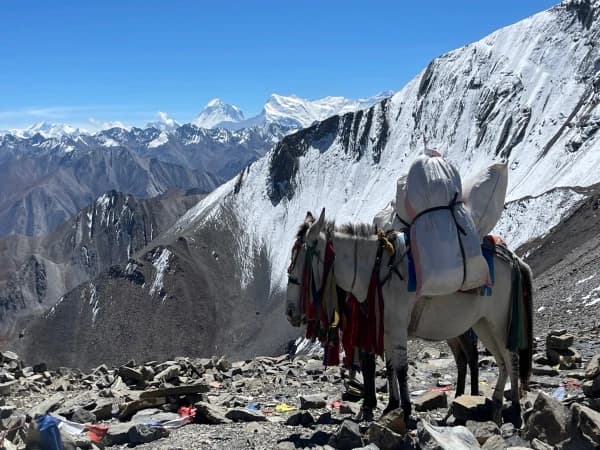 Upper Dolpo Trek